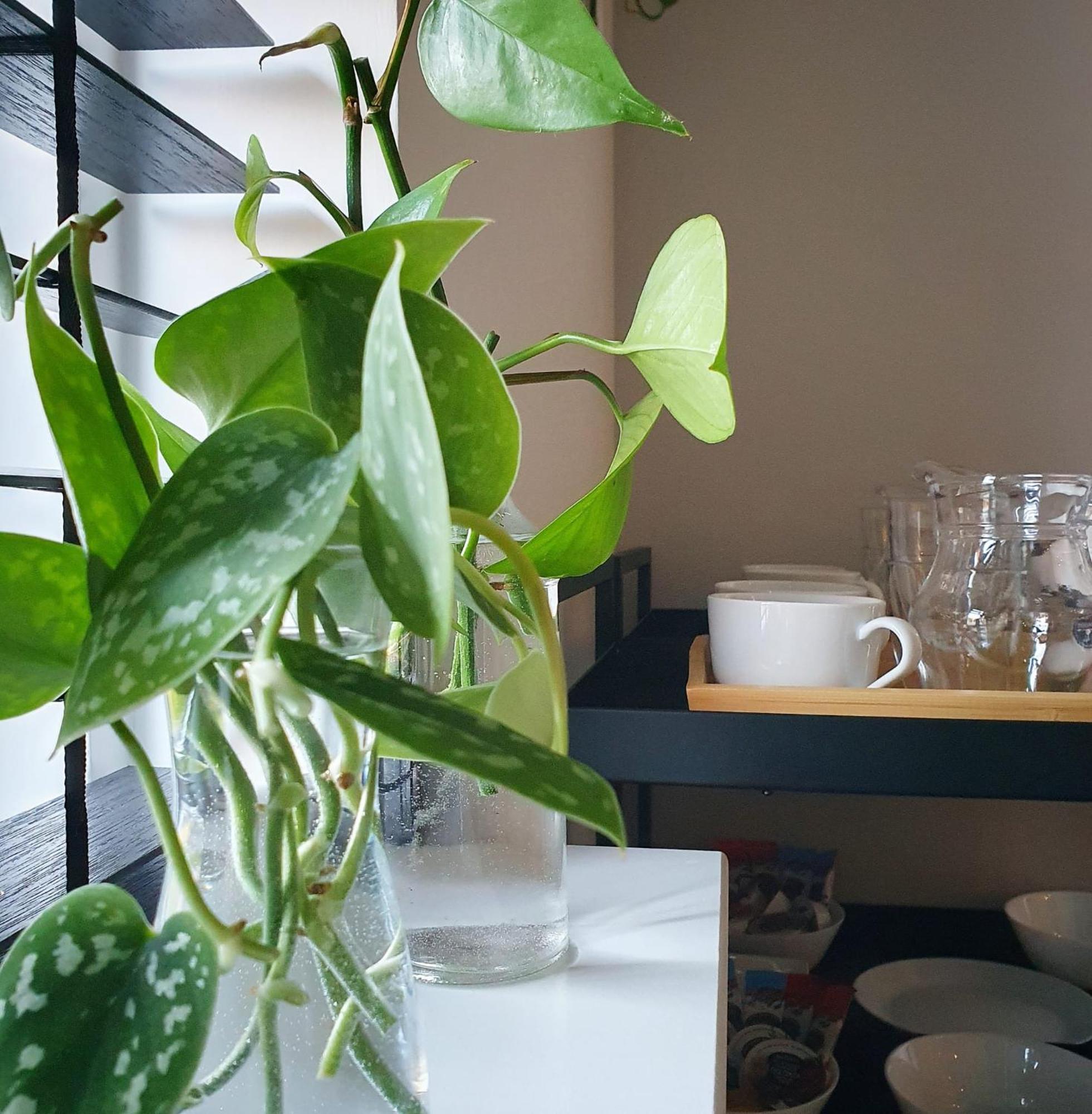 Bed And Breakfast 'Wij En De Zande' Kamperveen Luaran gambar